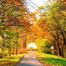 золотая осень