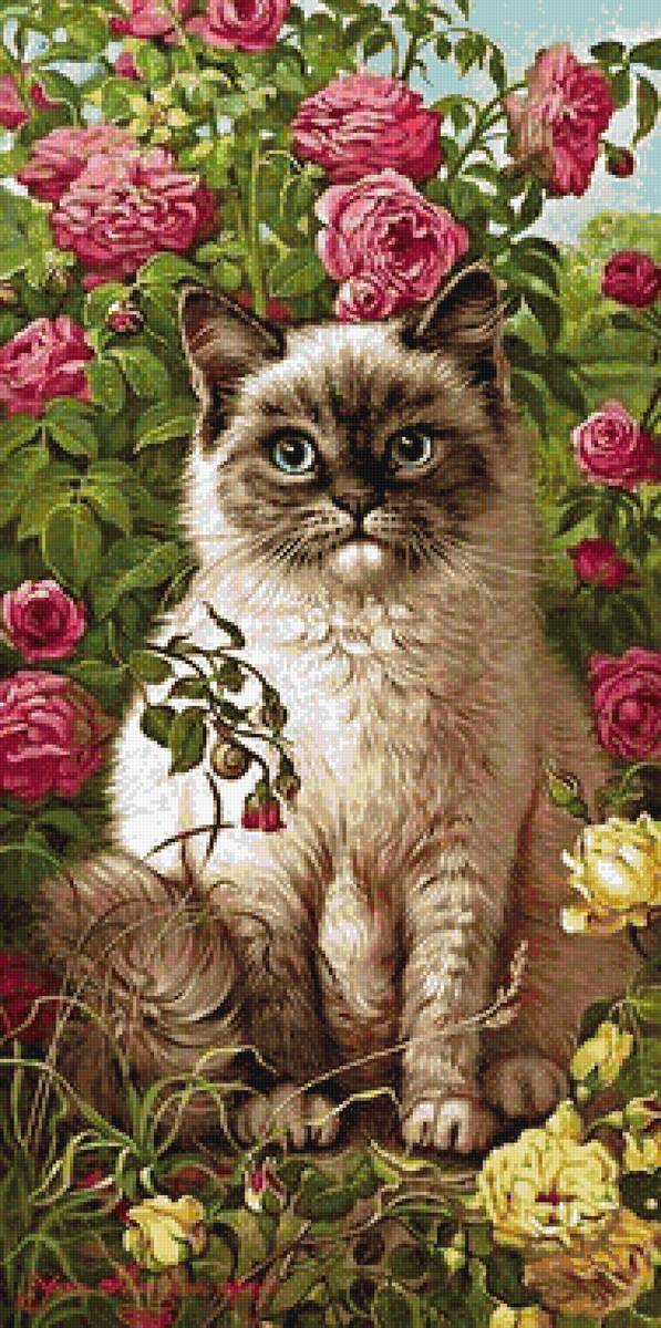 В саду - кошки, розы - предпросмотр