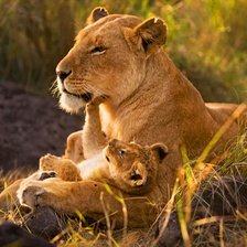 Схема вышивки «дюбовь к ребёнку»