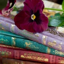 Схема вышивки «№1311927»