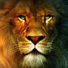 Схема вышивки «Cила»