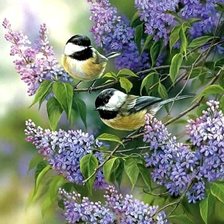 Схема вышивки «Синички»