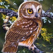 Схема вышивки «ночной страж»