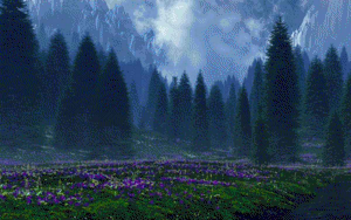 утро в лесу - деревья, природа, лето, утро - предпросмотр