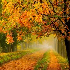 Схема вышивки «осень»