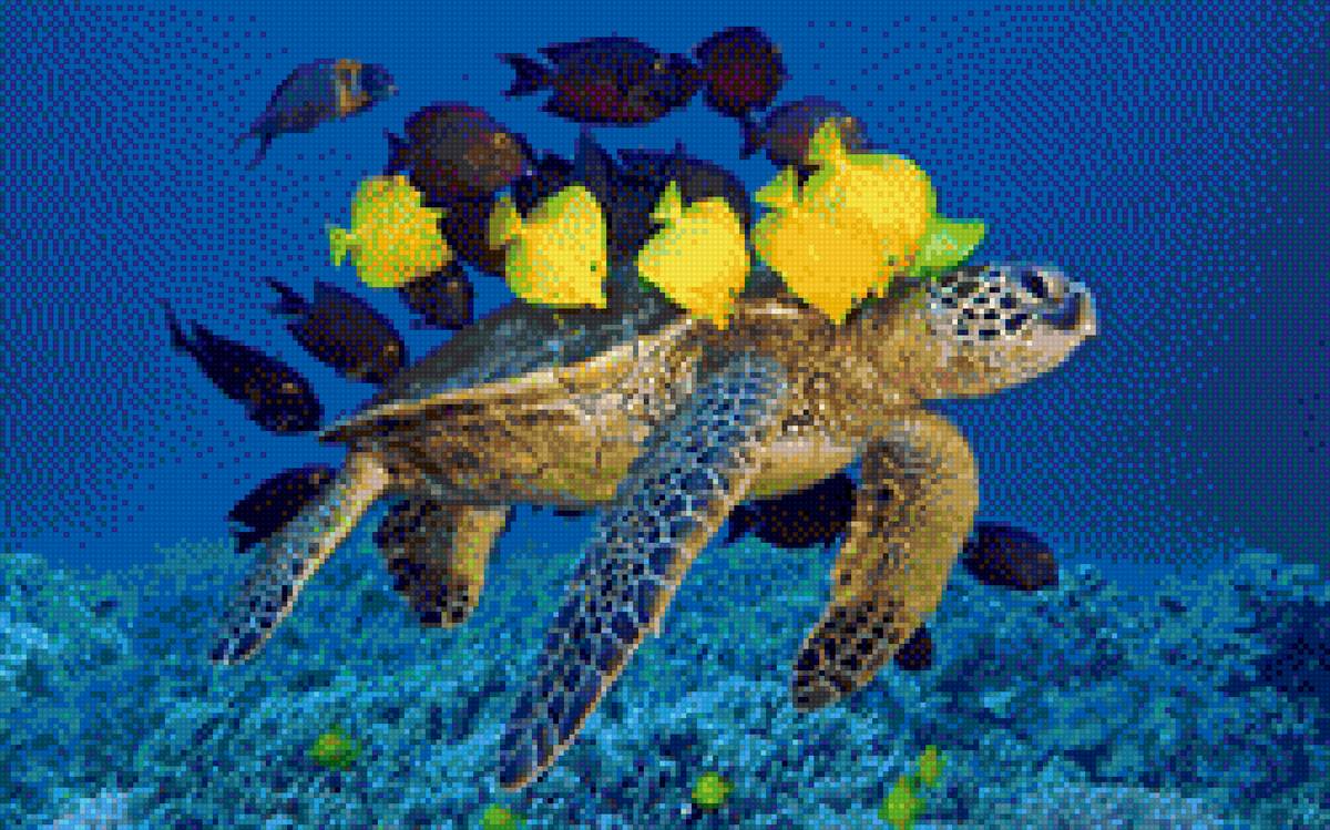 в морских глубинах - море, фауна, черепаха - предпросмотр