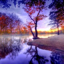 Схема вышивки «утро в лесу»