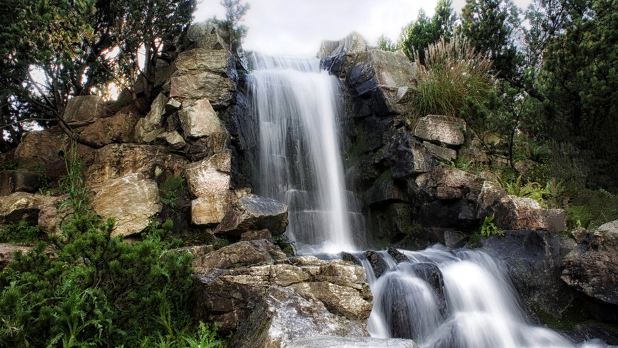 у водопада - лето, водопад, природа, деревья - оригинал