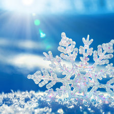 Схема вышивки «фантазия»