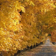 Схема вышивки «осень»