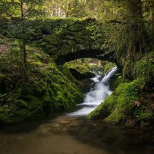 ручей в лесу