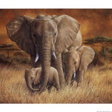 Схема вышивки «№1312978»