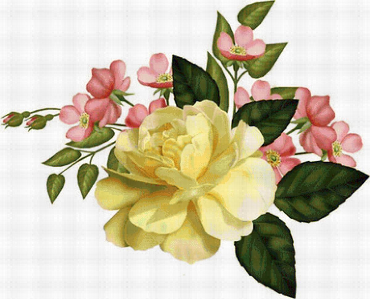 žltá ruža - предпросмотр