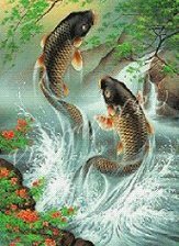 Схема вышивки «2 карпа»