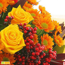 Схема вышивки «№1313804»