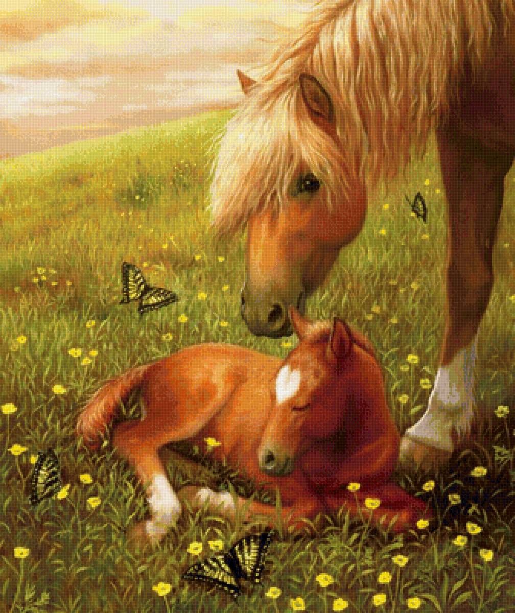 Лошадь с жеребенком. - лето, пейзаж, лошади - предпросмотр