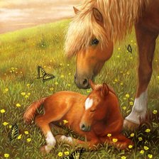 Схема вышивки «Лошадь с жеребенком.»