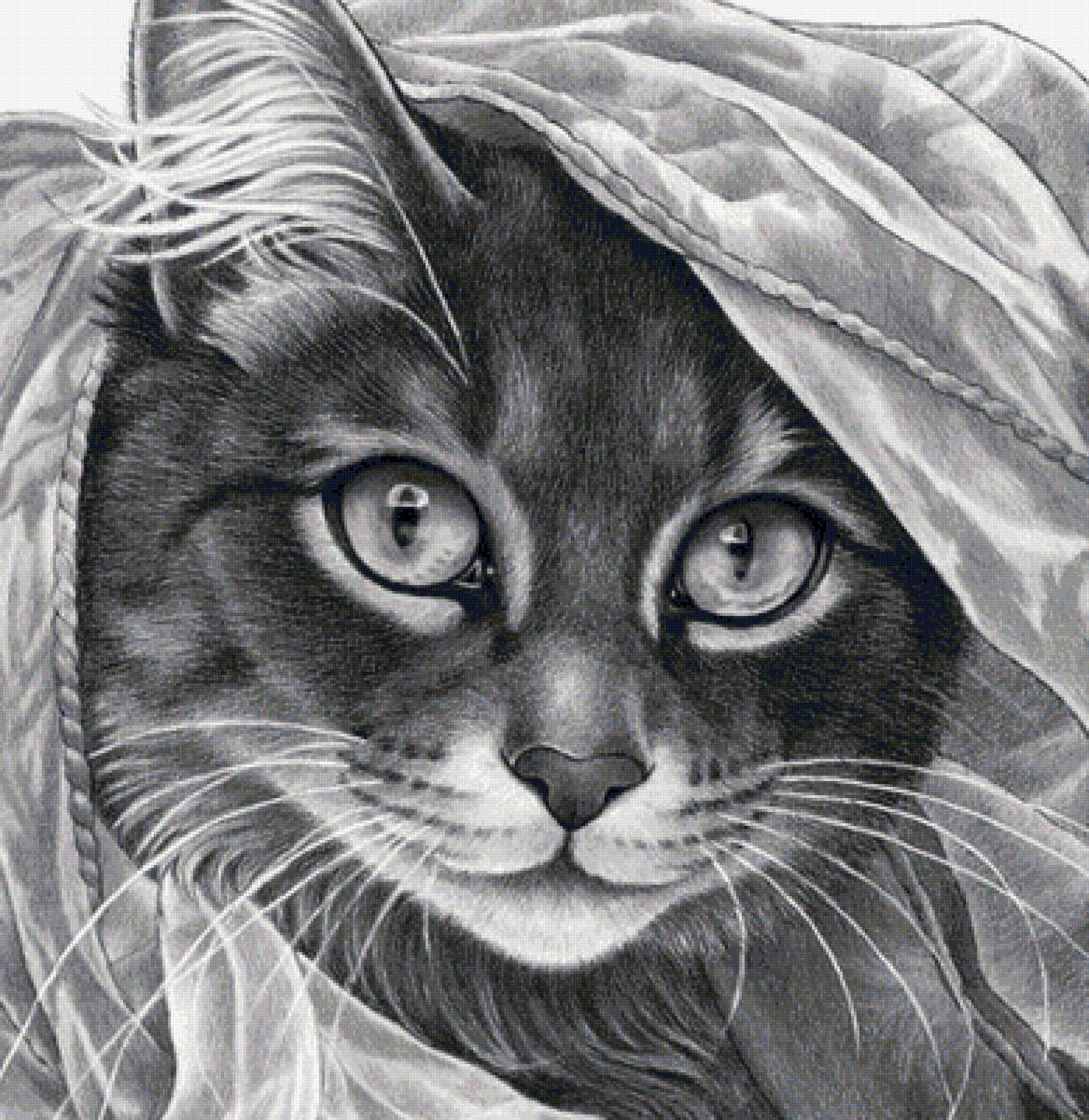 кошечка - предпросмотр