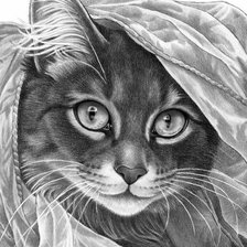 Схема вышивки «кошечка»