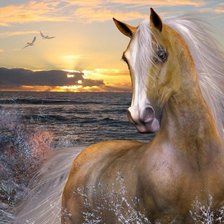 Схема вышивки «Лошадь и море»