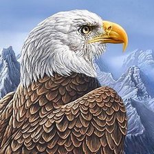 Схема вышивки «хозяин неба»