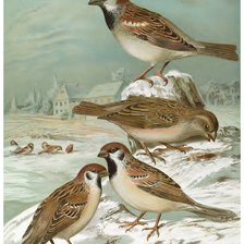 Схема вышивки «№1314596»