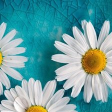 Схема вышивки «Ромашки на воде»