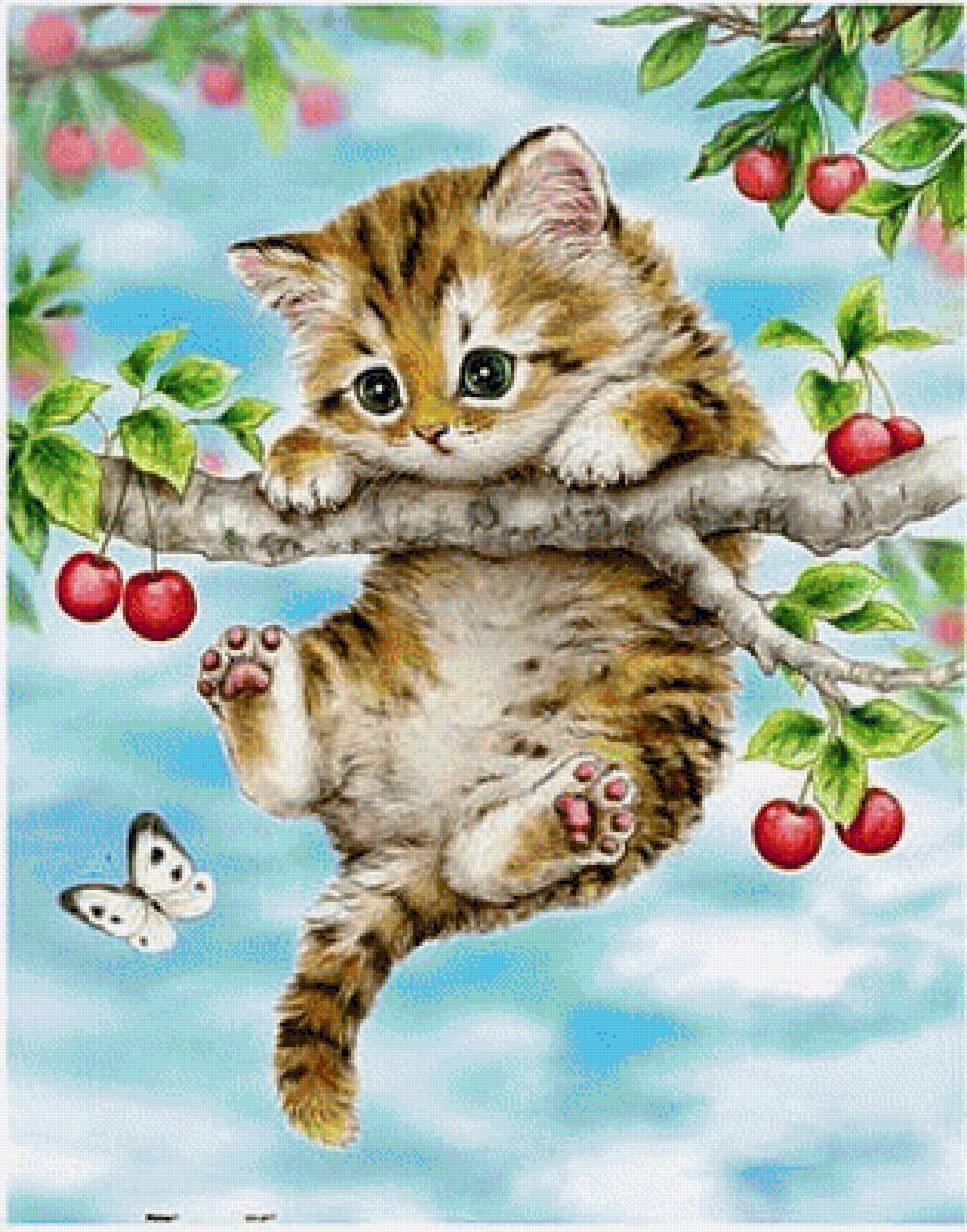 котик - животные, коты - предпросмотр