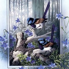 Схема вышивки «Птички»