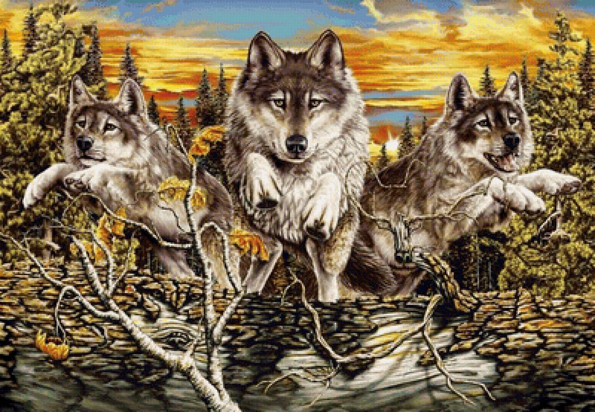 волки - волки, природа, лес, картина - предпросмотр