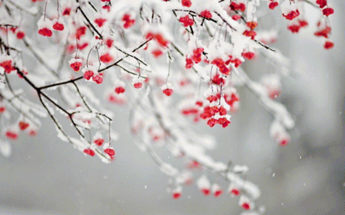 №1315343 - предпросмотр