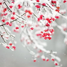 Схема вышивки «№1315343»