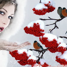 Схема вышивки «№1315352»