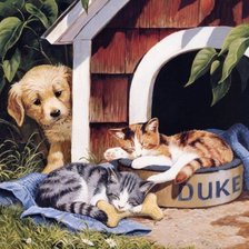 Схема вышивки «Щенок и котята»