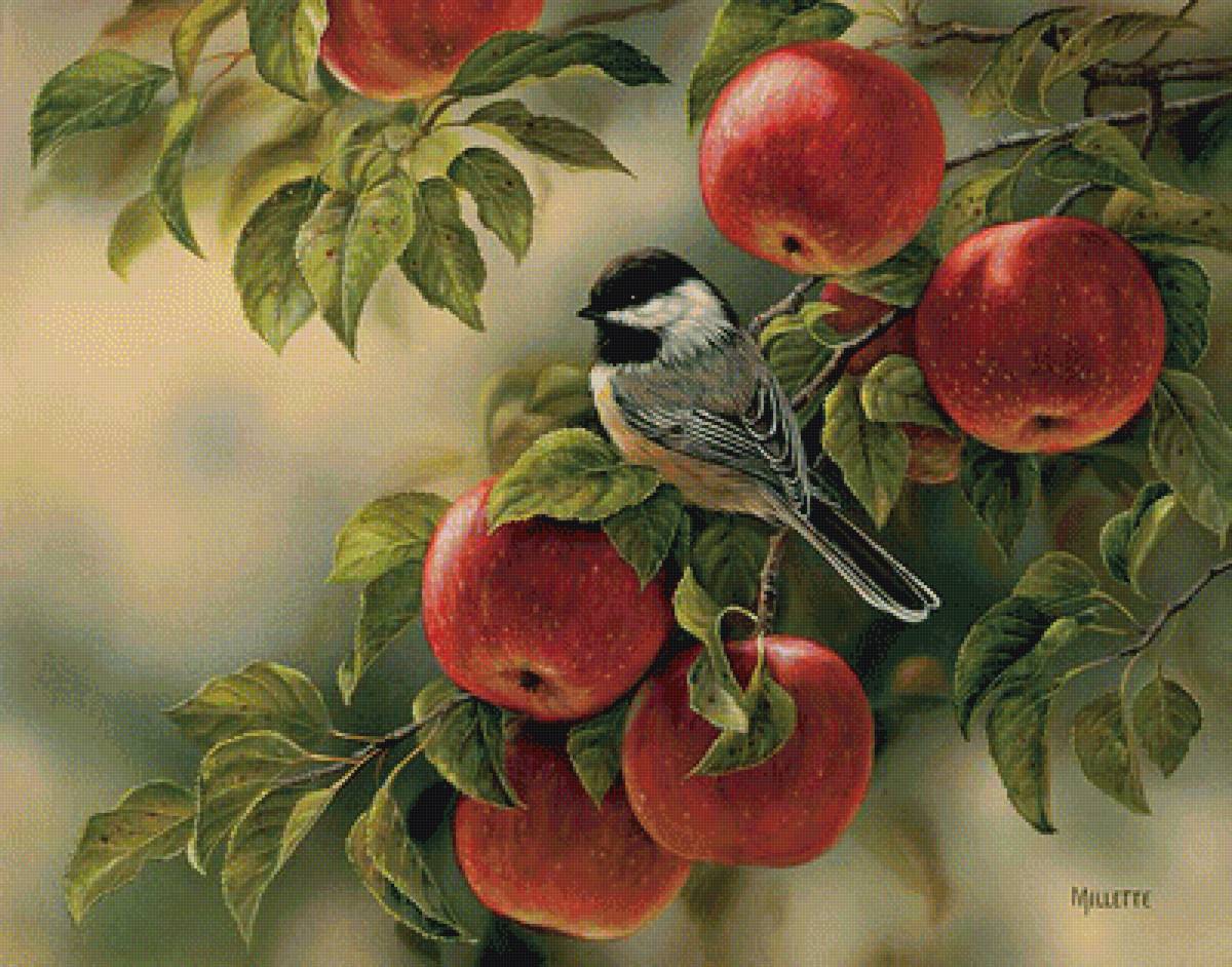 67456 - птицы - предпросмотр