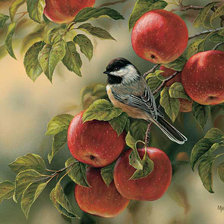 Схема вышивки «67456»