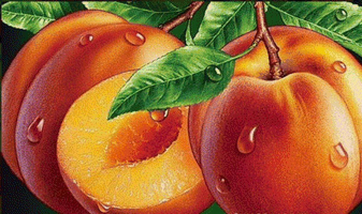 №1315700 - натюрморт - предпросмотр