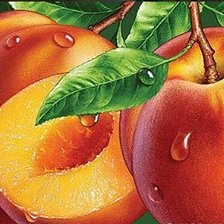 Схема вышивки «№1315700»