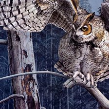 Схема вышивки «сова»