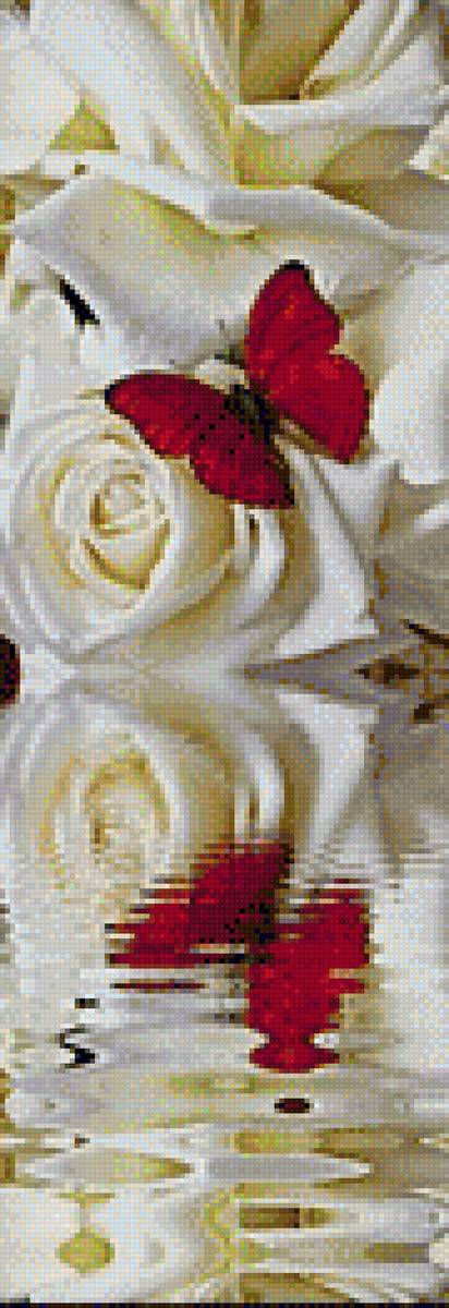 Quynh - hoa hồng - предпросмотр