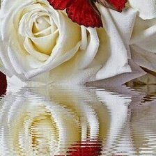 Схема вышивки «Quynh»