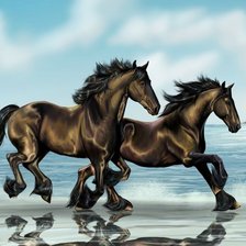 Схема вышивки «Бегущие по воде»