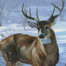 Схема вышивки «№1316288»