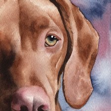 Схема вышивки «Выжла»