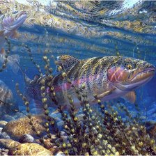 Подводный мир