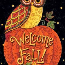 Схема вышивки «сова»