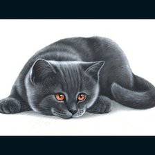 Схема вышивки «котик»