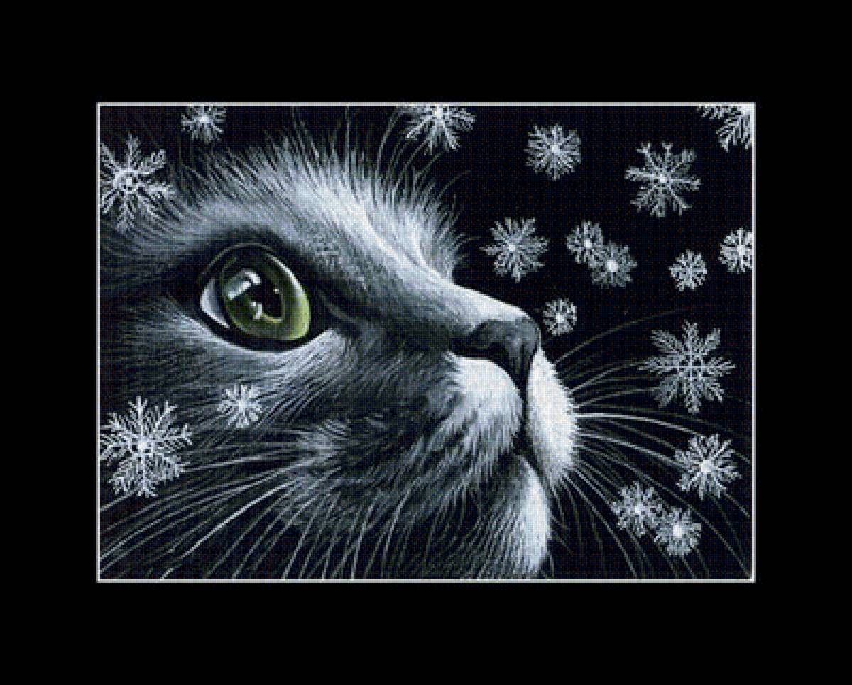 котик - животные, коты - предпросмотр