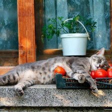 Схема вышивки «Дачник»