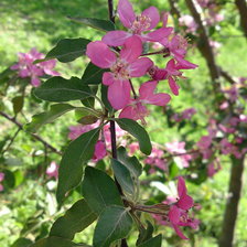 Схема вышивки «Весна»